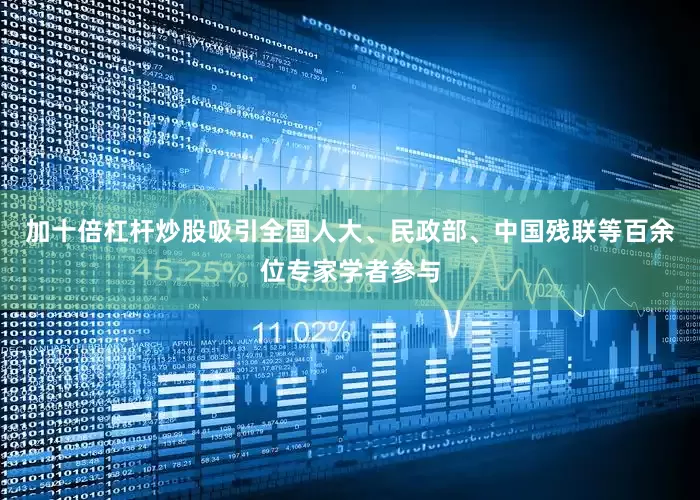 加十倍杠杆炒股吸引全国人大、民政部、中国残联等百余位专家学者参与