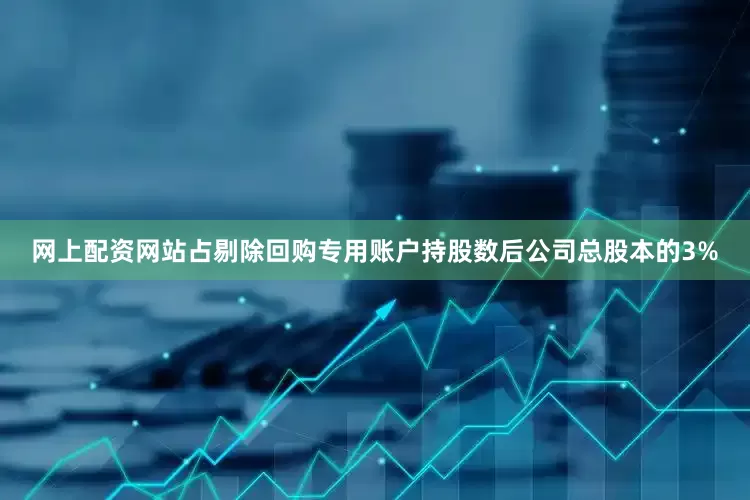 网上配资网站占剔除回购专用账户持股数后公司总股本的3%
