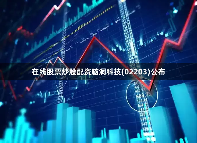 在线股票炒股配资脑洞科技(02203)公布