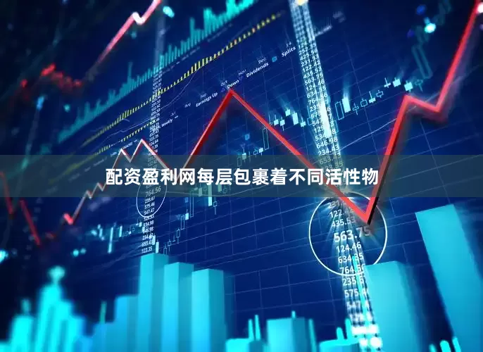 配资盈利网每层包裹着不同活性物