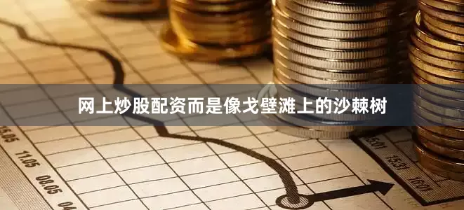 网上炒股配资而是像戈壁滩上的沙棘树