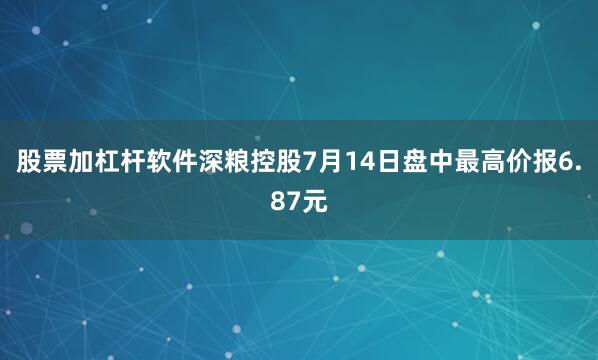 股票加杠杆软件深粮控股7月14日盘中最高价报6.87元