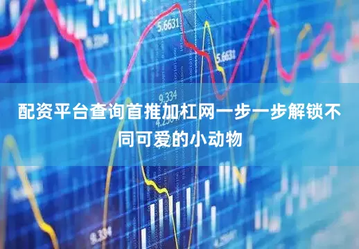 配资平台查询首推加杠网一步一步解锁不同可爱的小动物