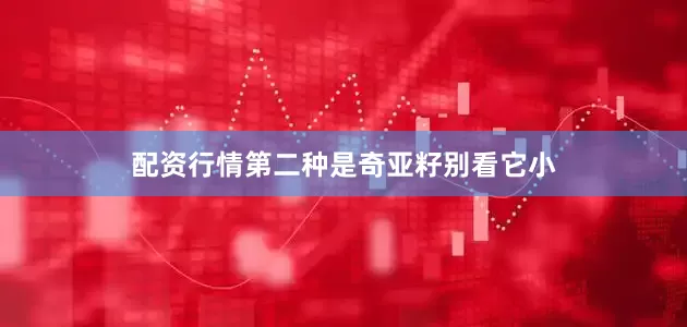 配资行情第二种是奇亚籽别看它小